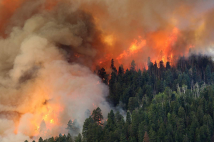 Hazard Mitigation Funds Following Colorado Fire