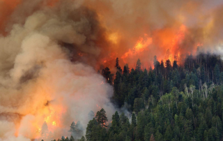 Hazard Mitigation Funds Following Colorado Fire