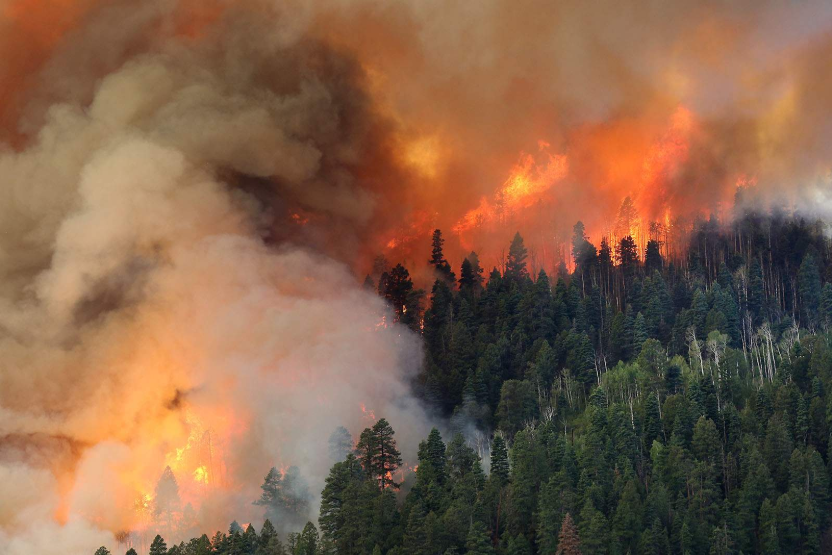 Hazard Mitigation Funds Following Colorado Fire