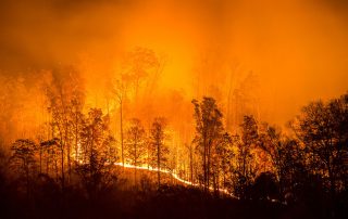 Wildfire Mitigation Funding Available From FEMA