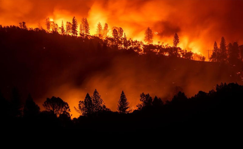 Drought and Wildfire Concerns Increase the Need for Preparedness