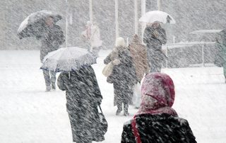 Mild or Wild Winter 2019?