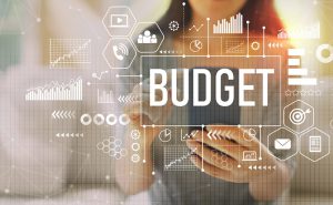 Budget for Effective Preparedness Planning and Exercising