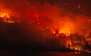 wildfire image