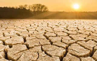 Cracked, dry ground, drought