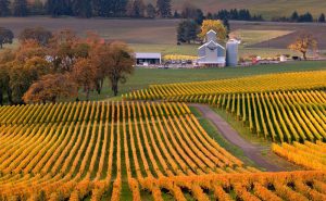 Yamhill County COOP planning Workshop