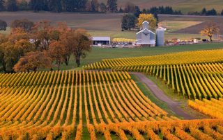 Yamhill County COOP planning Workshop