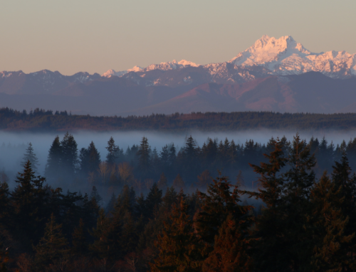 Case Study: West Coast Government and BOLDplanning